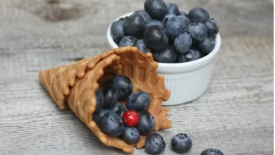 صورة التوت الأزرق: 7 فوائد صحية مثبتة تجعله خيارًا أساسيًا في نظامك الغذائي