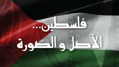 صورة فيلم “فلسطين الأصل والصورة”: توثيق لقضية شعب عبر عدسة السينما