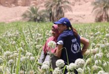 صورة ‎النجمة هند صبري سفيرة النوايا الحسنة لدى برنامج الأغذية العالمي  تتفقد مشروعات التكيف مع تغير المناخ في مصر