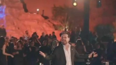 صورة بالصور : وائل جسار يحي حفل كبير بالقاهرة ويطرب الجمهور بأشهر أغنياته