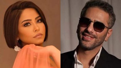 صورة شيرين عبد الوهاب تحسم الجدل حول حفلها مع فضل شاكر